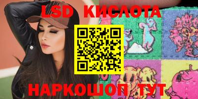 крисы Славгород