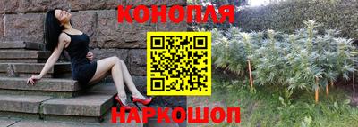 крисы Славгород