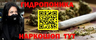 крисы Славгород