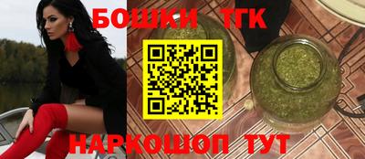 крисы Славгород