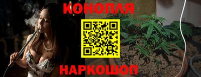 крисы Славгород