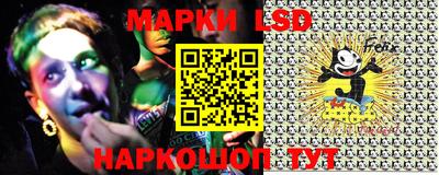 крисы Славгород